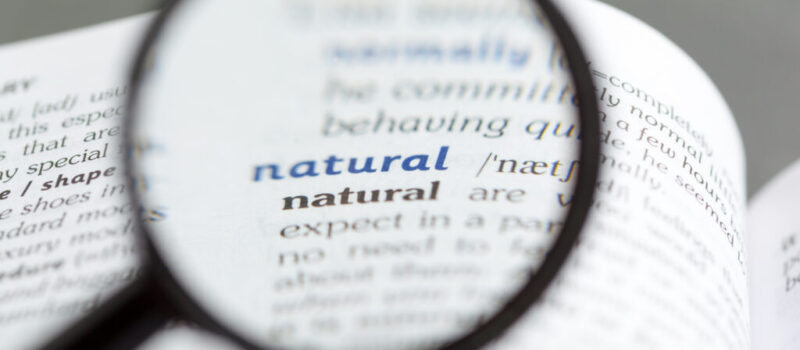 Multilingual dictionary